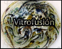 Link que nos lleva a la galeria de vitrofusion de la Artista Elena Albaca de Fares
